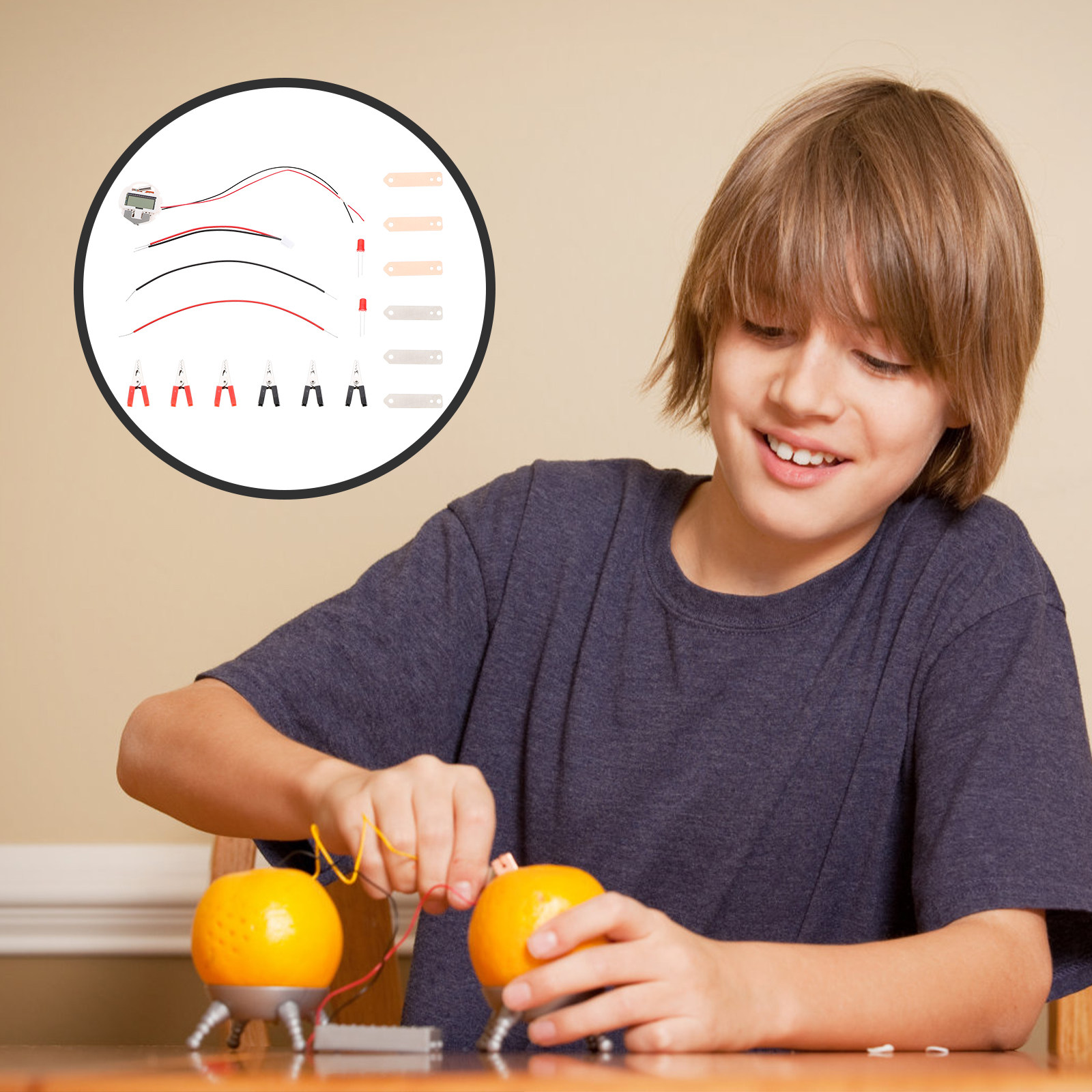 2Sets Fruit Battery Experiment - đánh giá và giá Science Project Physics