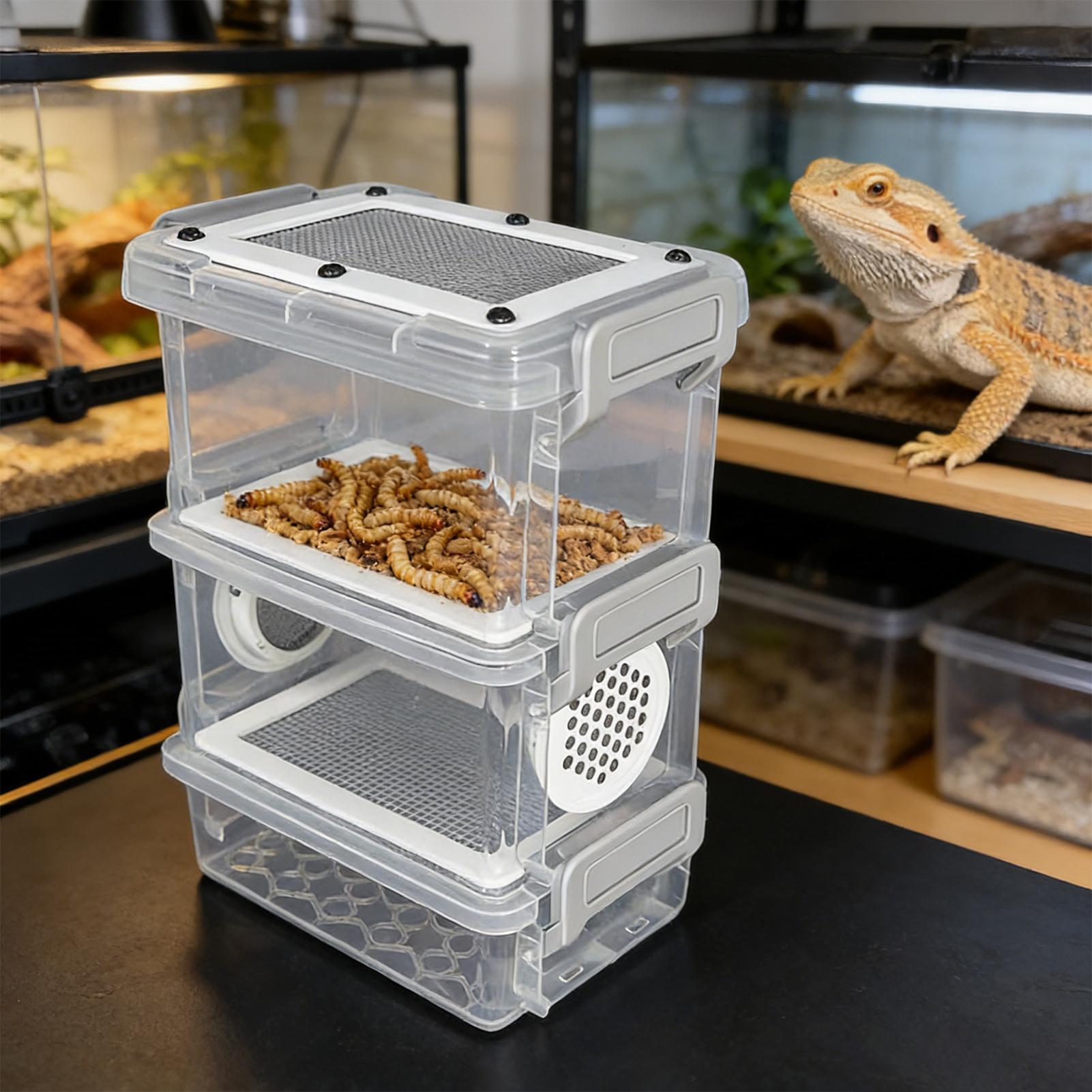 3-Layer Silkworm Feeder Bin Co - đánh giá và giá Science Hobbyist